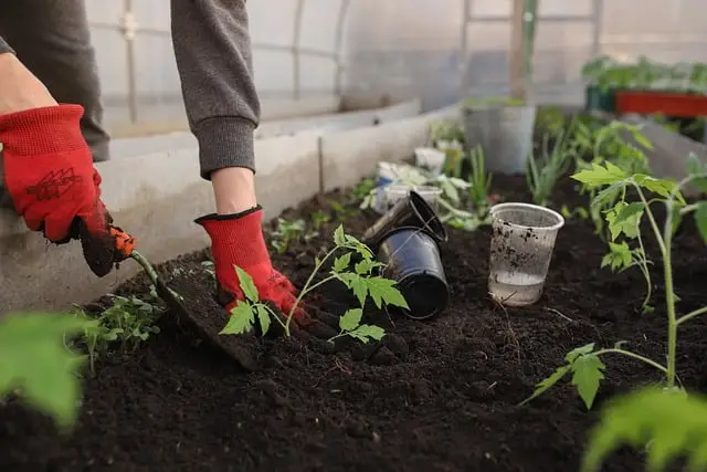 Tuinman in Enschede
