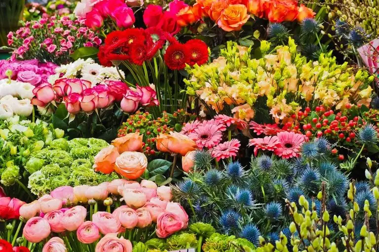 bloemenwinkel in Enschede