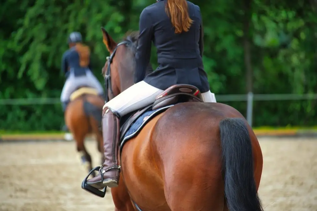 Een vrouw op een paard in Enschede