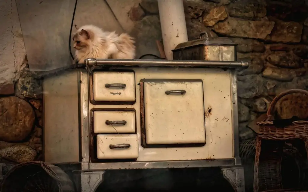 Een kat zit op een oude kachel in Enschede