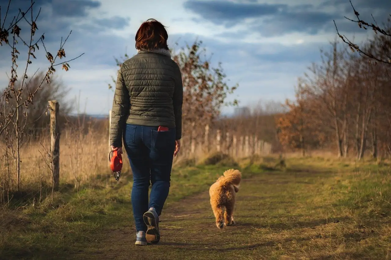 Wandelroutes in Enschede
